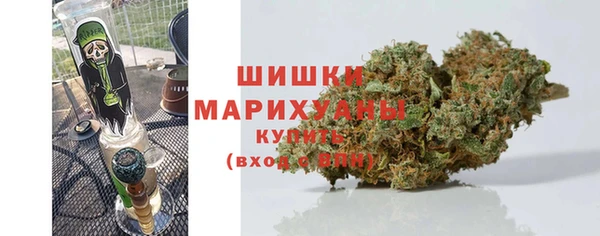 индика Богородск