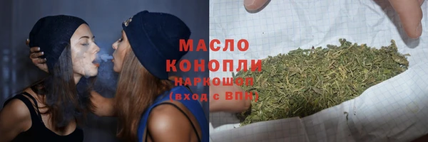 индика Богородск