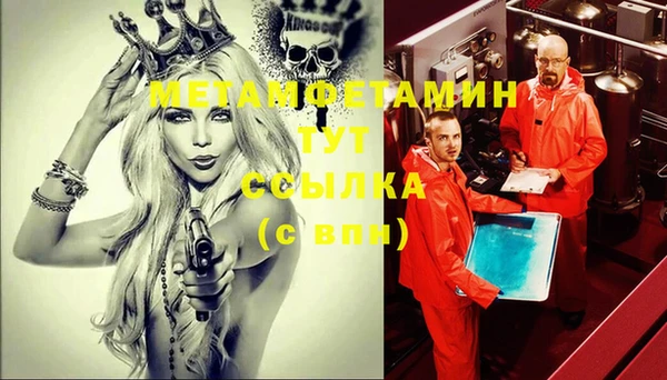 индика Богородск