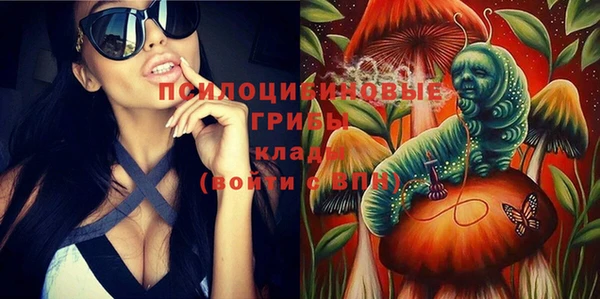 индика Богородск