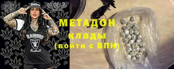 индика Богородск