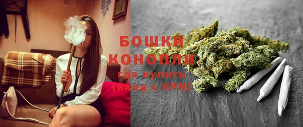 индика Богородск
