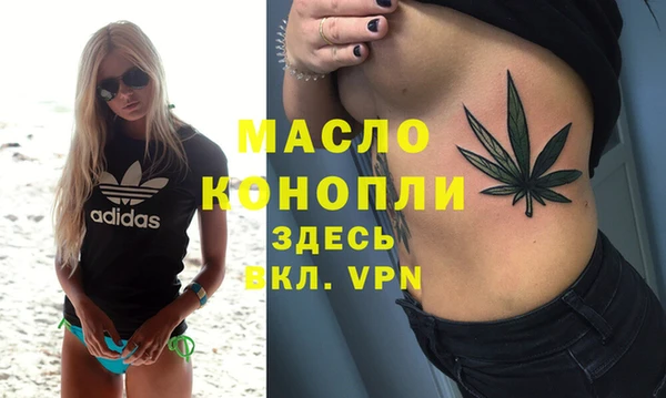 индика Богородск