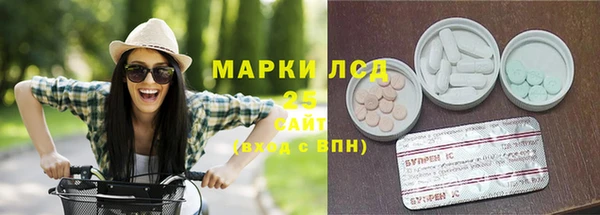 индика Богородск