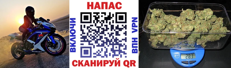 купить закладку Екатеринбург Бошки Шишки семена